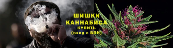 ешки Горняк
