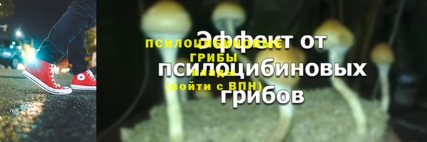 ешки Горнозаводск