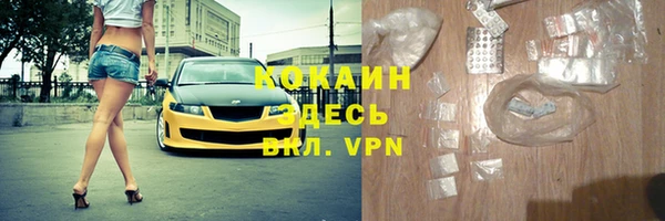 ешки Горняк