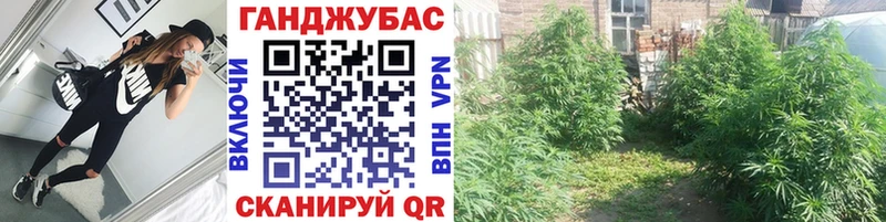МАРИХУАНА план Нальчик